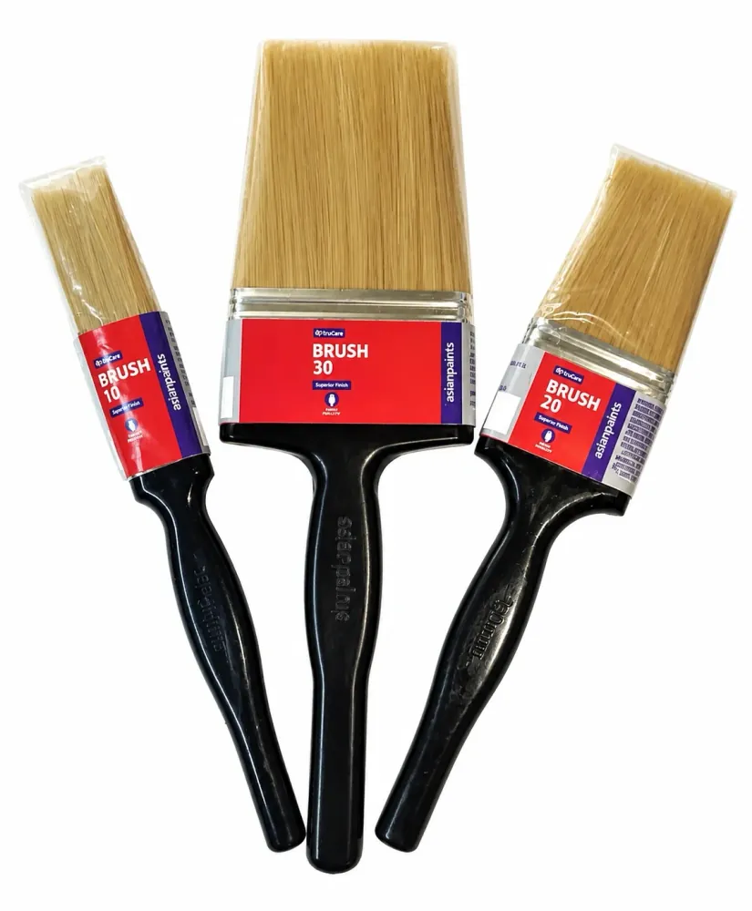 Asian Paints TruCare Brush