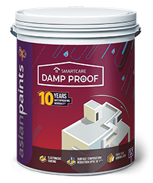 Asian Paints SmartCare Damp Proof